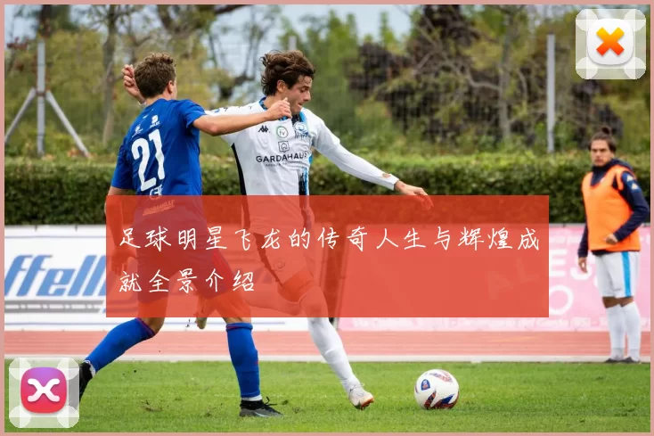 足球明星飞龙的传奇人生与辉煌成就全景介绍