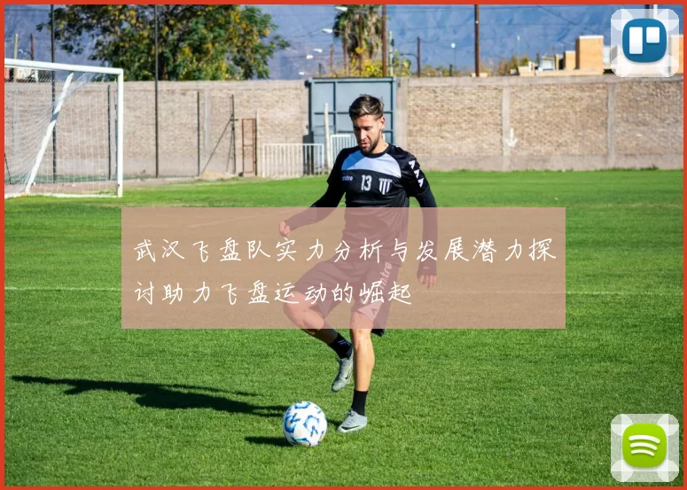 武汉飞盘队实力分析与发展潜力探讨助力飞盘运动的崛起